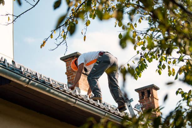 Best Siding  in California, PA